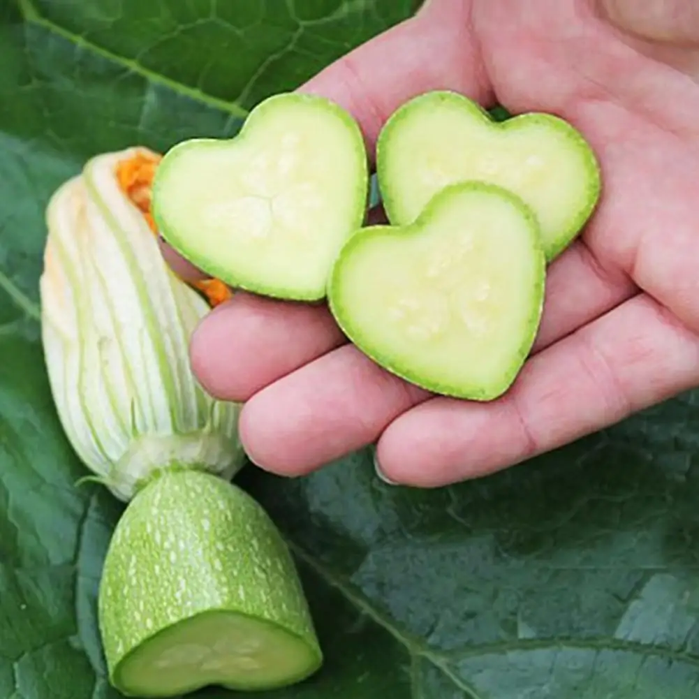 Огуречная формирующая формочка в виде сердца пластиковая прозрачная растущая форма для сада бонсай