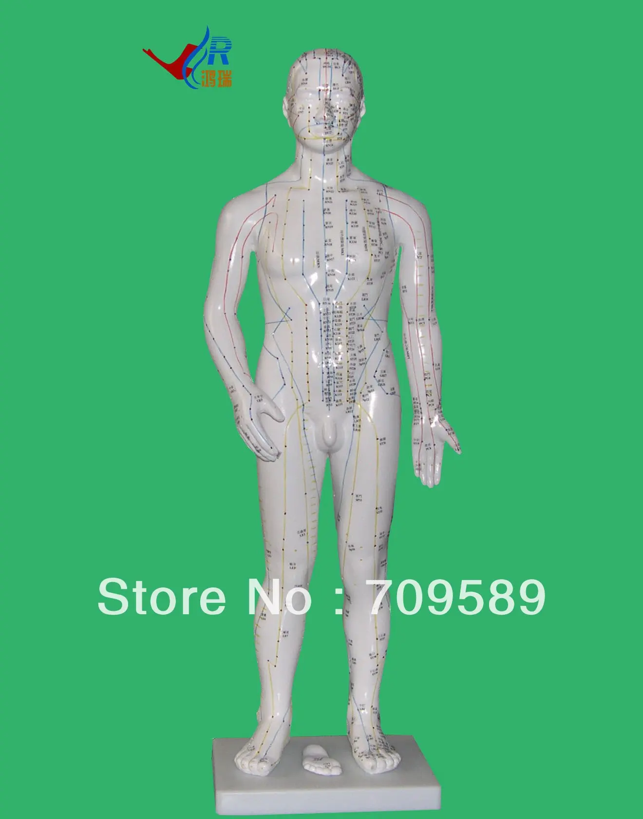 Профессиональная медицинская акупунктура 70 см модель анатомии|acupuncture model|model