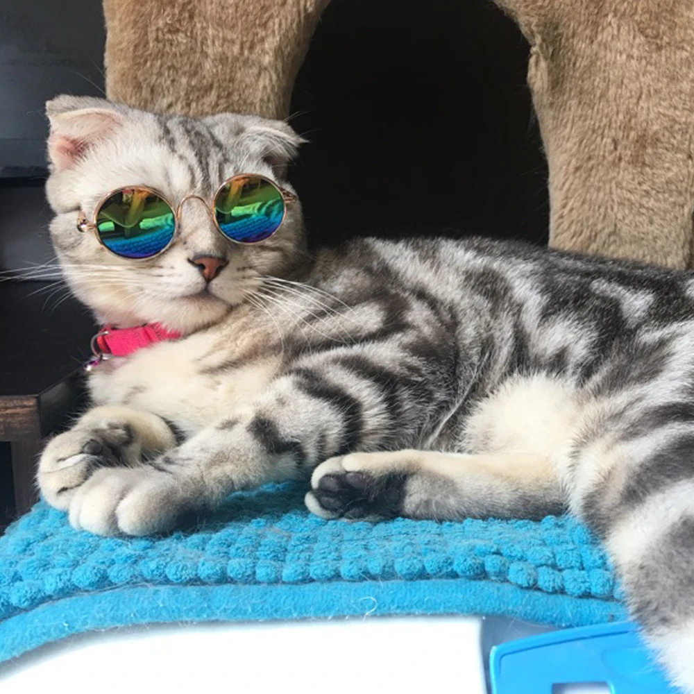 

Fashion Cat Sunglass Funny Puppy Kitten Sun Glass Cats Grooming Cool Small Dogs Summer Eye Glasses Light Weight Pet Accessories