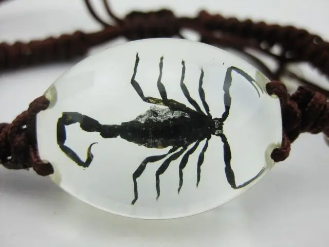 

FREE SHIPPING 12 PCS Real Black Scorpion Lucite Bangle Bracelet Insect Jewelry Hand made Resin Men Jewelry TAXIDERMY GIFT