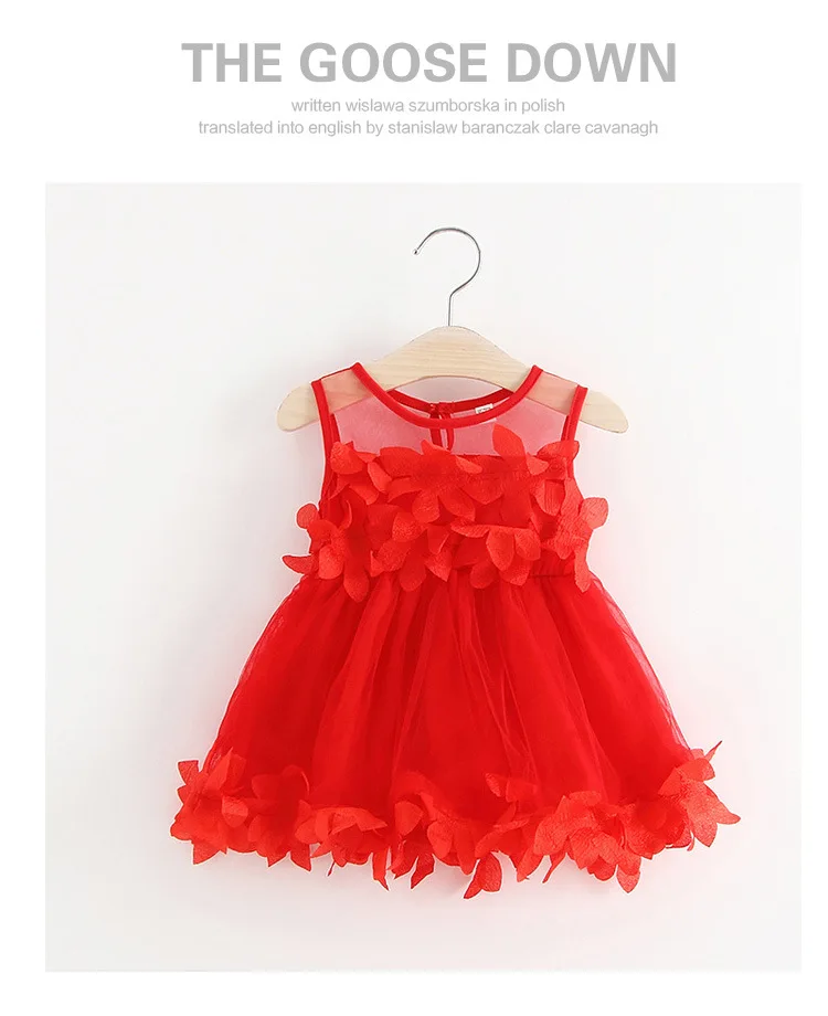 2018 Summer Baby Dresses Girl Newborn Christening Dress For Baby Girl 1st Birthday Outfits Flower Princess Party Infant Dress 3T (13)