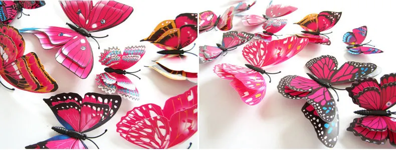 H008 Hotpink (2)