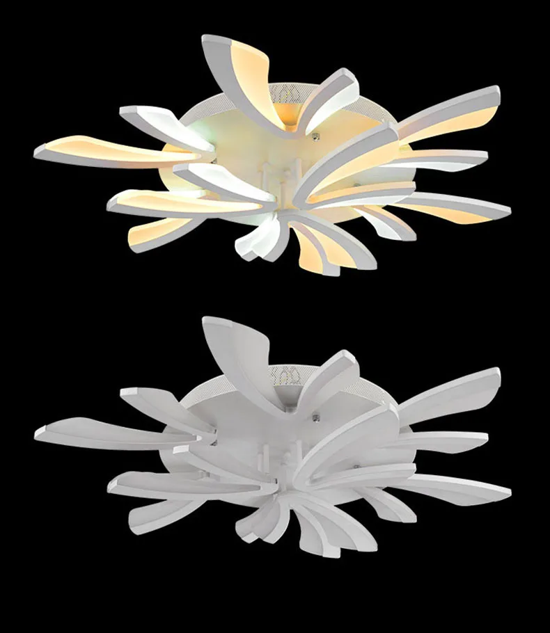 2685781068_1833629700