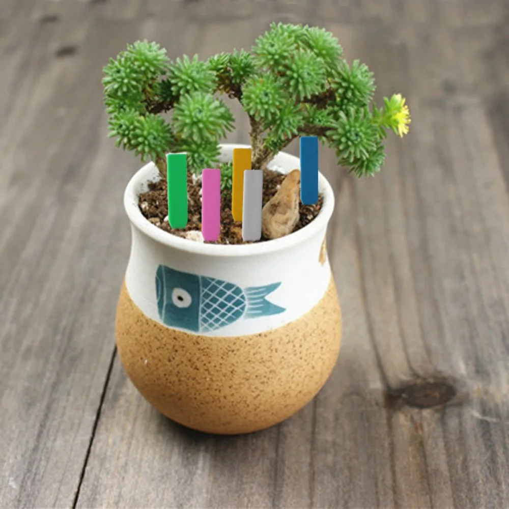 Plant Potted Mini Signs Seedling Labels Garden Decoration Stake Tags 50 Pcs