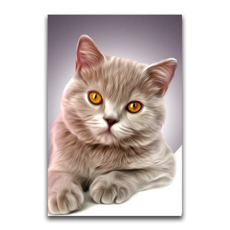 5D DIY Diamond painting animal Full Square Diamond mosaic Cat Full Round Diamond embroidery Cross stitch Little white cat