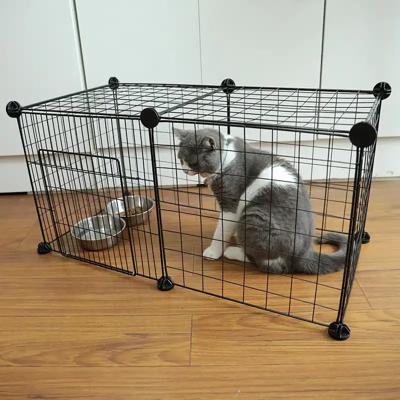 kitten kennel