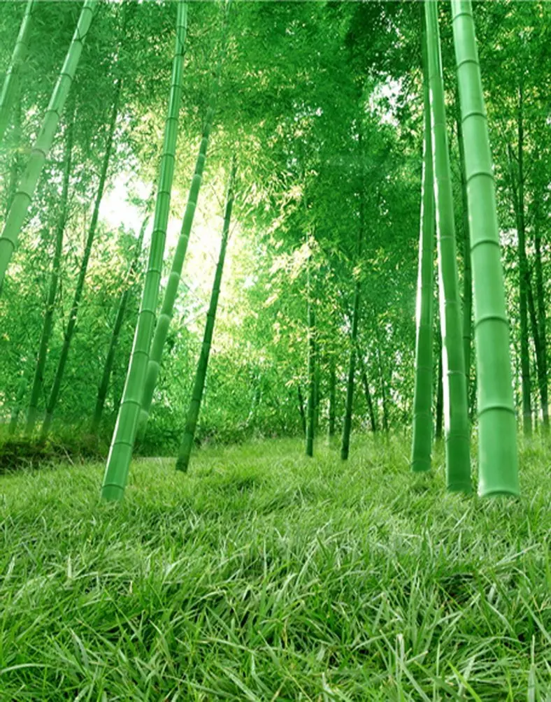 Nature Green Bamboo ForestPhotography Backdrops Photo Props Studio Background 5x7ft | Электроника