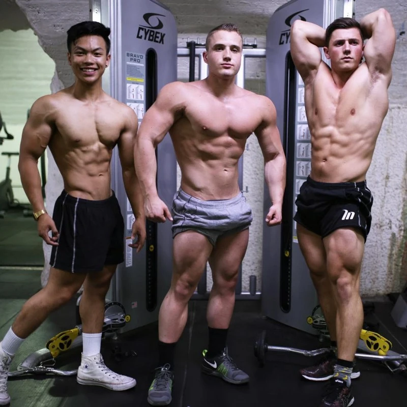 Men Golds Gym Shorts Mens short pants (16)