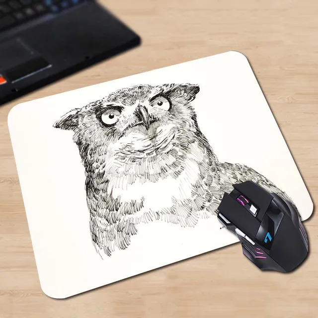 Babaite Customized Mouse Pad Two Owls Drawing Artwork Beautiful Decor
