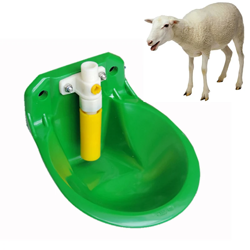 Livestock Sheep Farm Drinker Bowls Drinker Colt Calves Drinking