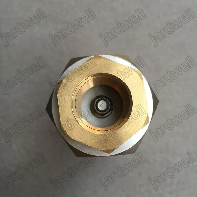 250030-276 Blow Down Vlv (3)