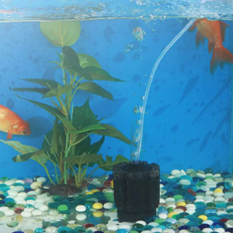 aquarium pet supplies