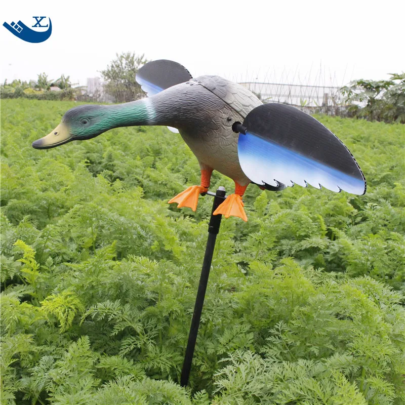 Hunting  Duck (5)