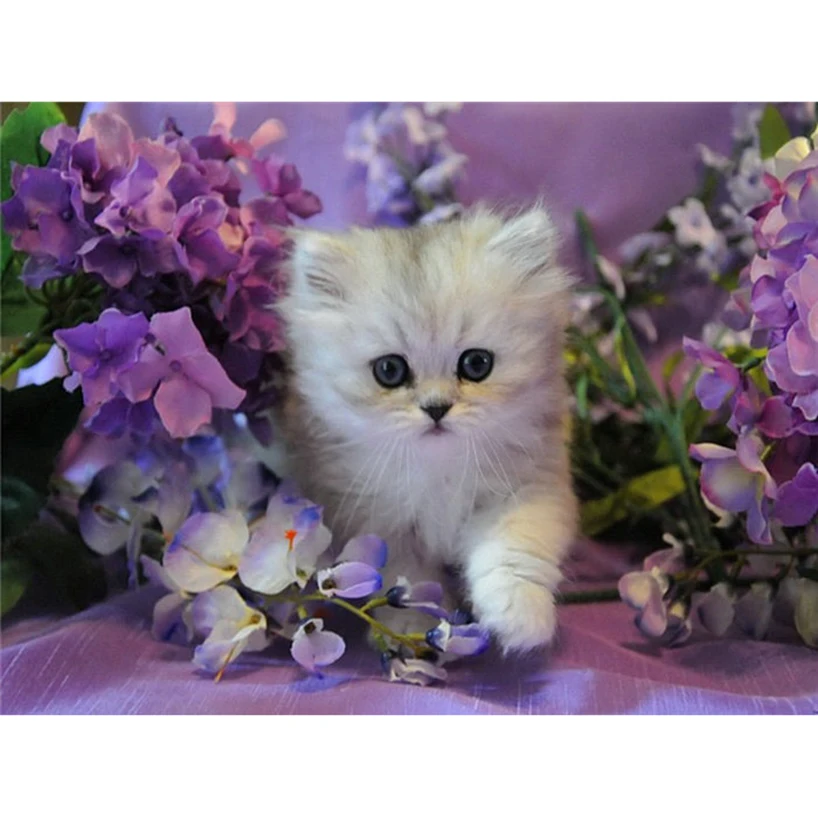 

New diamond painting cat pattern DIY 3D full diamond rhinestone mosaic round diamond embroidery animal cross stitch needle FR008