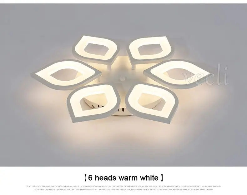 Ceiling lamp (13)