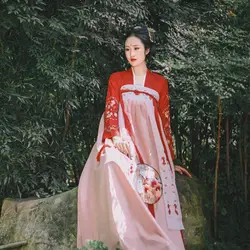 Hanfu китайские танцевальные костюмы Весенний костюм ханьфу Древний китайский костюм Hanfu Женский Традиционный китайский костюм для леди DWY1906