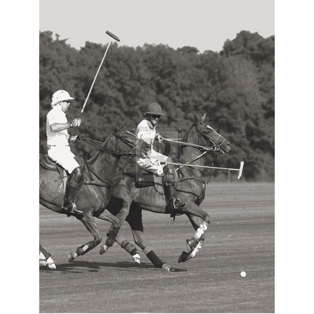 Polo In The Park IV Poster Print by Ben Wood (16 x 20)