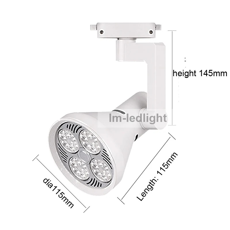 LED track light Par30 (4)