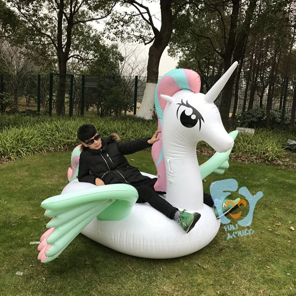 pony unicorn  (38)