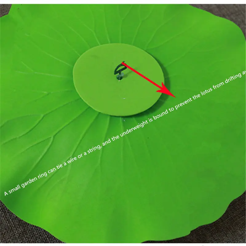 4271467441_921926052_