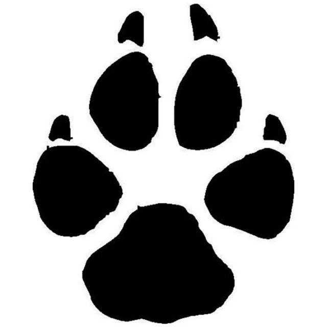 Dog Footprint Vs Cat Footprint Dog Footprint Vs Cat Footprint