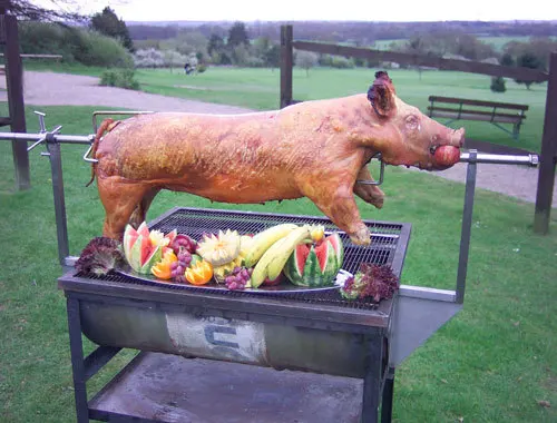 pig-rotisserie-motor-Heavy-Duty-80kg-load-Stainless-Steel-pig-Spit-roast-rotisserie-motor.jpg