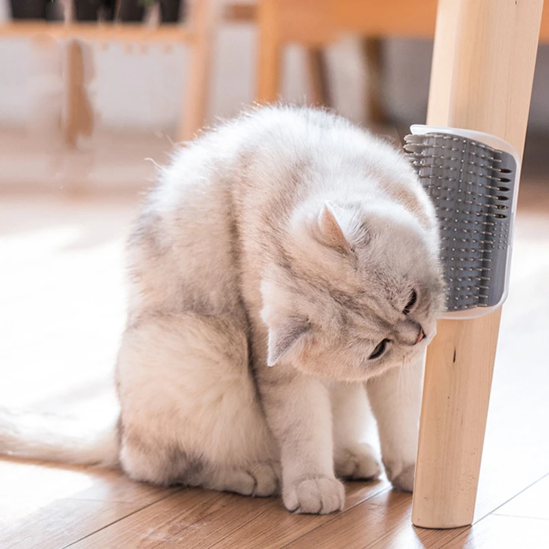 Brosse D Angle Pour L Epilation Des Animaux Domestiques Peigne De Jeu Pour Chats Nouveaute Poils D Arc Jouets D Auto Toilettage Pour Chats Grattoir En Plastique Avec Herbe Aux Chats Aliexpress