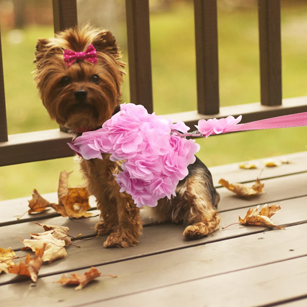Розовый дышащий цветок собака жгут маленькая шлейка для собаки домашнего животного поводок набор щенок жилет для Чихуахуа Тедди Собака нагрудный ремень поводок набор