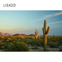 Laeacco кактус пустыни кустарник горные травы натуральный вид фотографического Фоны фотографии фонов для фотостудии