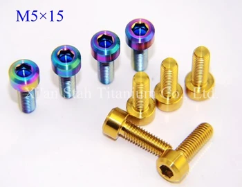 

Titanium TC4 Bicycle Hex Screws Bolts M5 15 for Road / Moutain Bike Handlebar Derailleur Lever Fixing