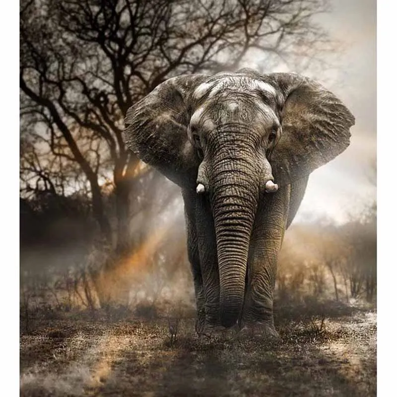 

new DIY 5D Diamond Embroidery Crystals Diamond Mosaic Elephant Square/Round Rhinestones Diamond Painting Cross Stitch Kits z321