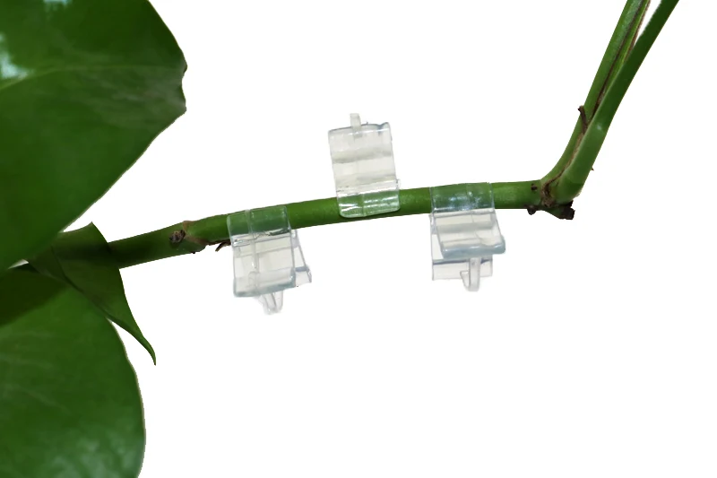 40pcs Garden Flower Plant Vine Seedlings Grafted Branches Clip Connector Fasteners Plastic Clips Garden Migration Tool plant fastening clips