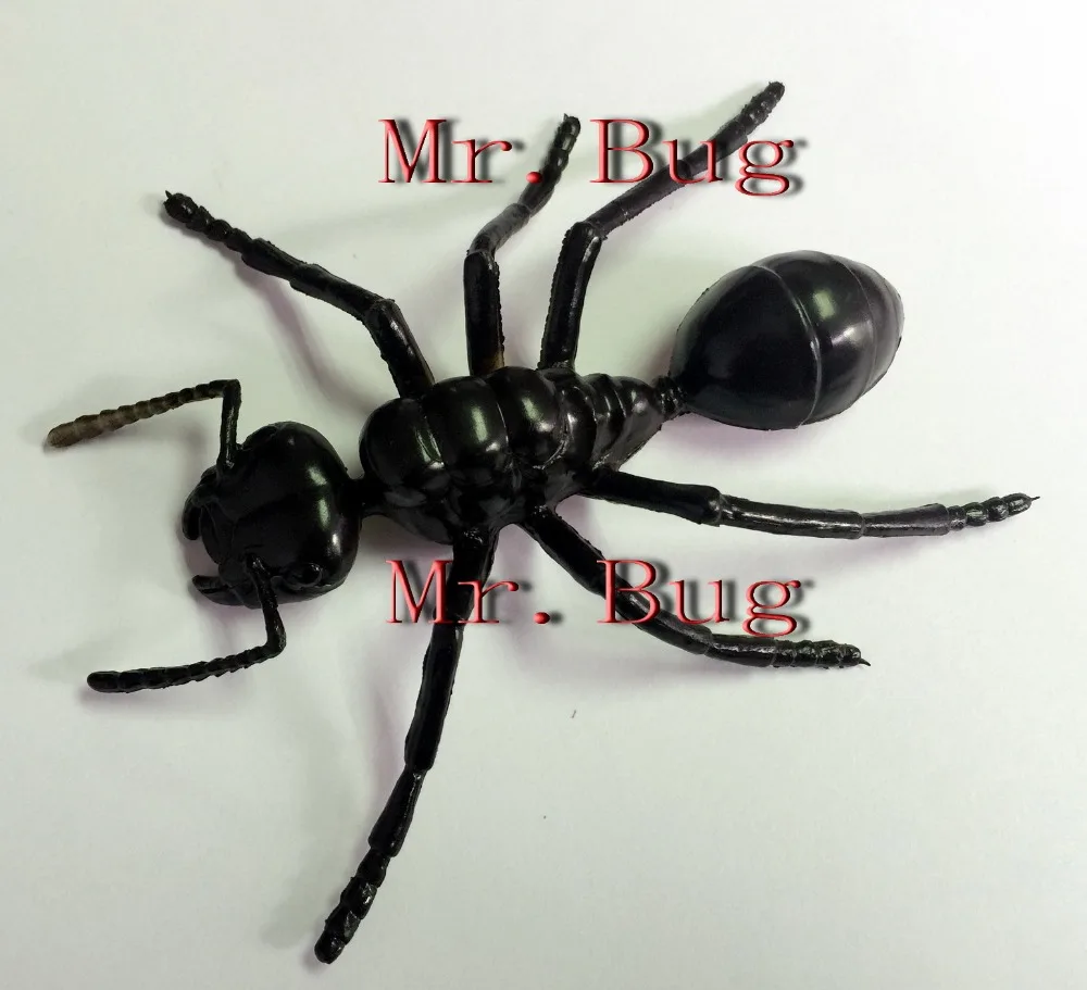 5 шт. большая ловушка для управления мышами также скорпион паук Цельсия крикет Ловушка-убийца отклоняет Отпугиватель нетоксичный 25,4*17,4 см