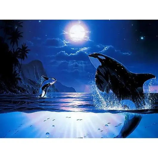 

Killer Whales Diamond Painting