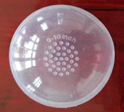 Silicon cap