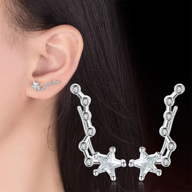 Anenjery, Нежные милые серьги в виде медведя в форме звезды для женщин, 925 пробы, серебряные циркониевые серьги для женщин, подарок для девушек, oorbellen S-E637