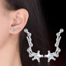 Anenjery, Нежные милые серьги в виде медведя в форме звезды для женщин, 925 пробы, серебряные циркониевые серьги для женщин, подарок для девушек, oorbellen S-E637
