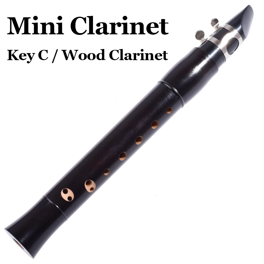 Карманный музыкальный инструмент с клавишей мини флейта черного цвета|clarinet