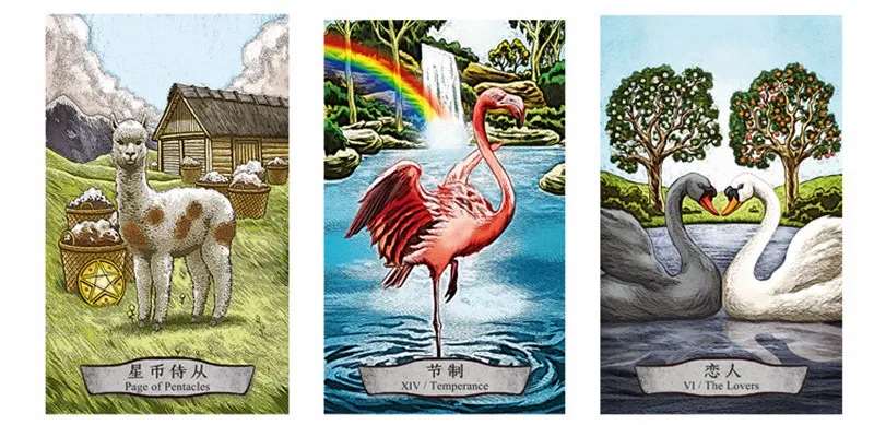 3276518970_1152796998