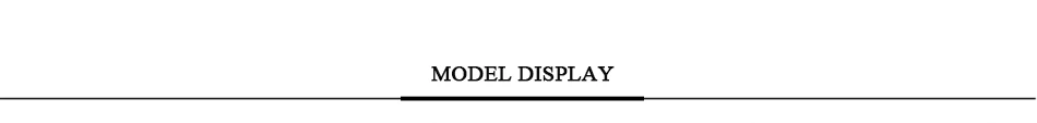 model display