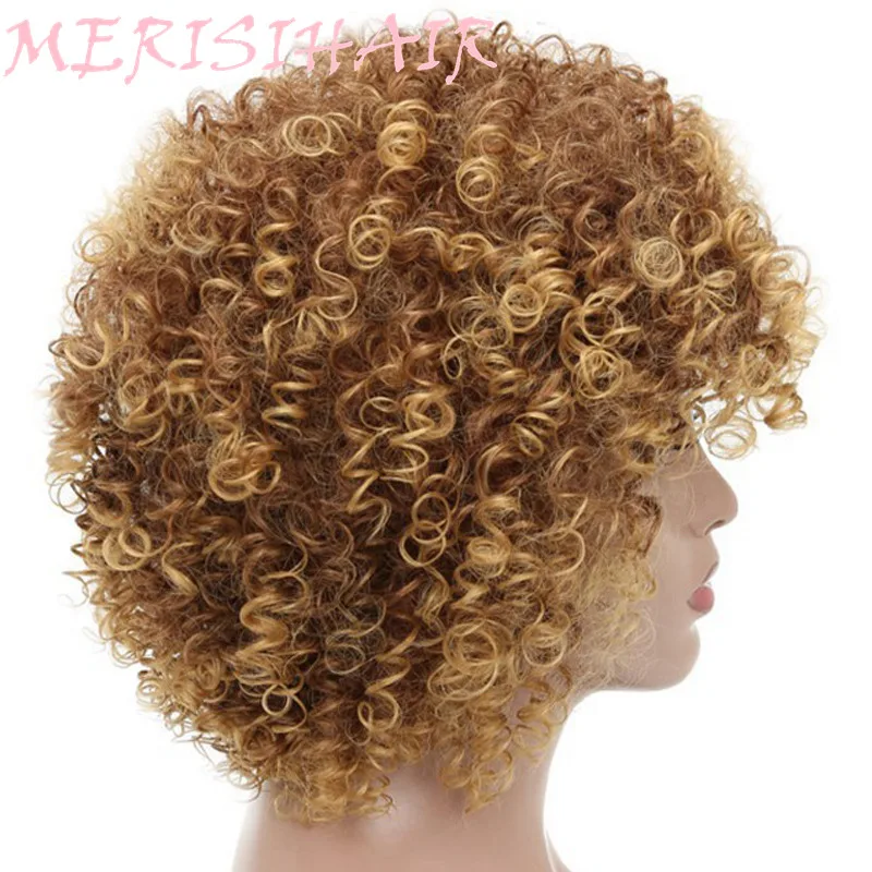 MERISI HAIR Long 16 Inch Kinky Curly Wigs For Black Women Blonde Mixed Brown Synthetic Wigs African Hairstyle Heat Resistant (1)