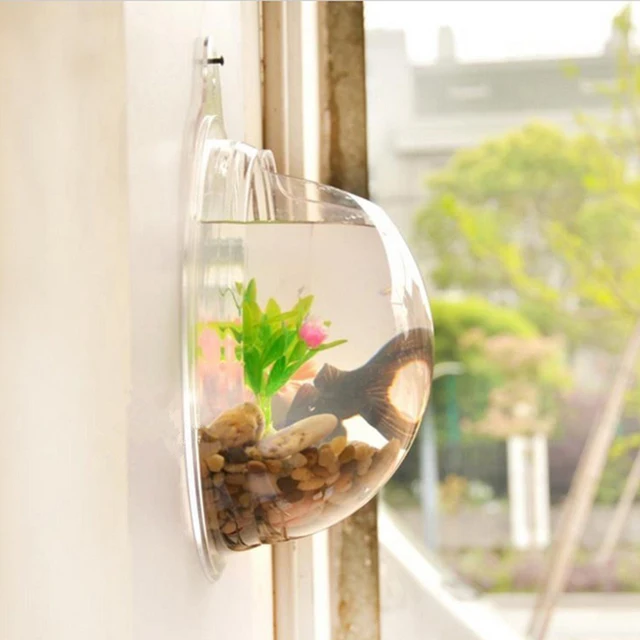 Pot Plant Wall Mounted Hanging Aquarium Transpa Acrylic Fish Pot Plant Wall Mounted Hanging Aquarium Transpa Acrylic Fish Bowl Tank Flower Vase Home