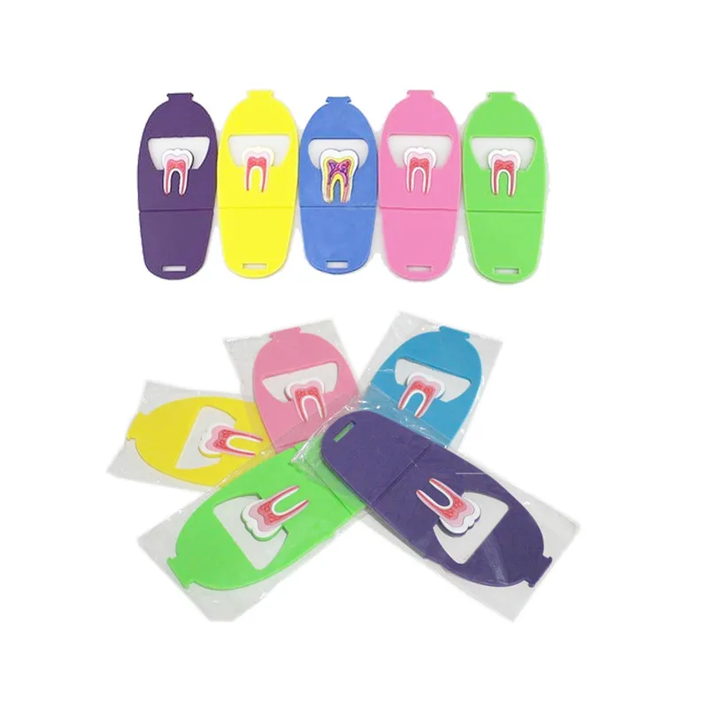5-pcs-pack-Dental-Teeth-Tooth-Name-Card-Holder-Case-Dentistry-Rubber (2)