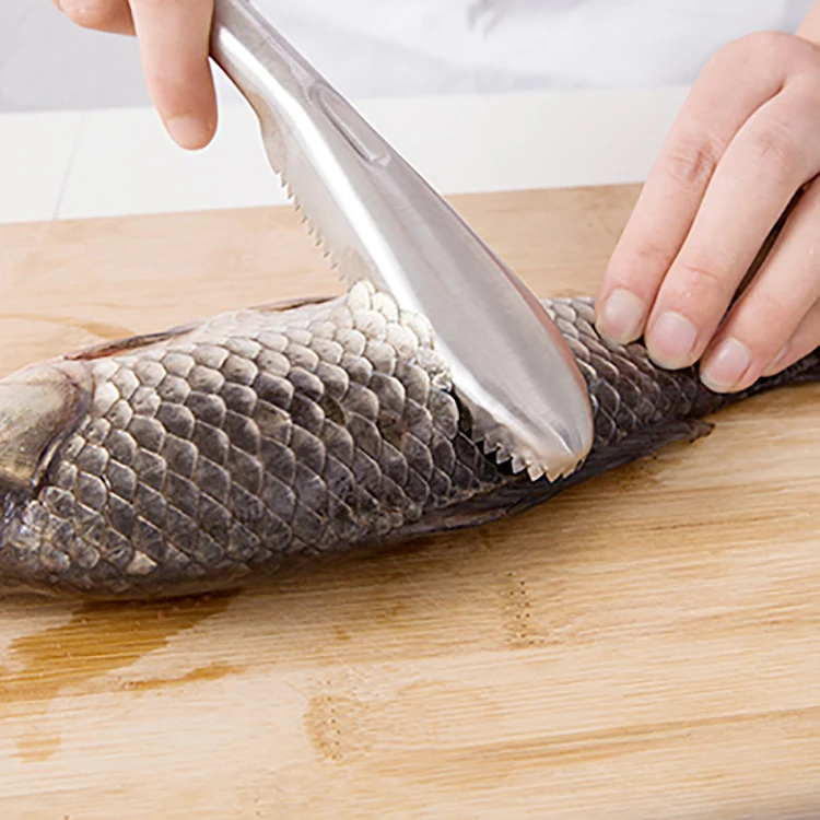 

DINIWELL Stainless Steel Kitchen Seafood Tools Fish Skin Brush Cleaning Peeler Scraper Cooking Accessories