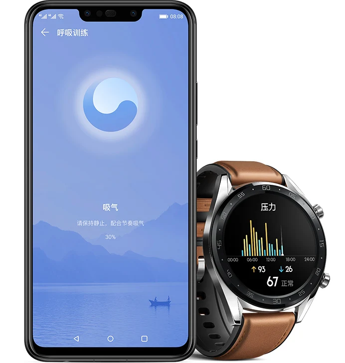 Водонепроницаемые Смарт часы Huawei GT Classic Edition оранжевого цвета 2019 Новый AMOLED HD