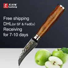 Sunlong 3 inch peeling knife Damascus kitchen fruit knives super sharp paring knife VG10 steel core Peeled knife kitchen tool