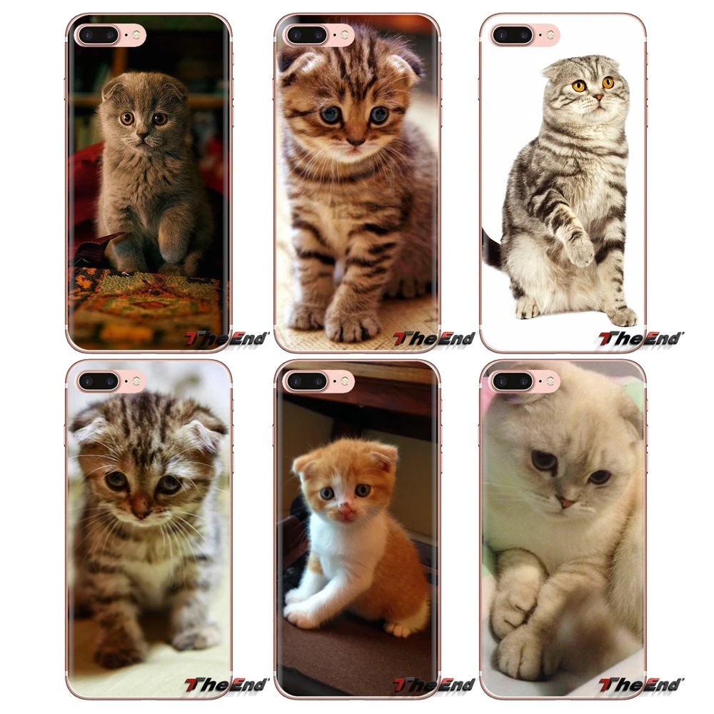 

For iPod Touch Apple iPhone 4 4S 5 5S SE 5C 6 6S 7 8 X XR XS Plus MAX Silicone Case Cover Scottish fold cat Felis catus Scotland