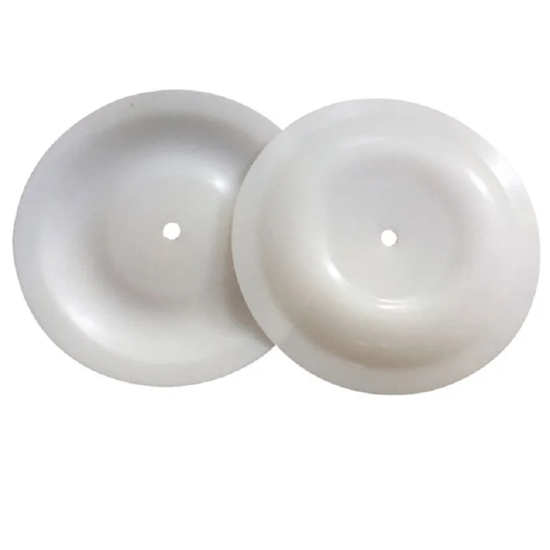 

10# PTFE Membrane Spare Parts Diaphragm for 10# Pneumatic Diaphragm Pump