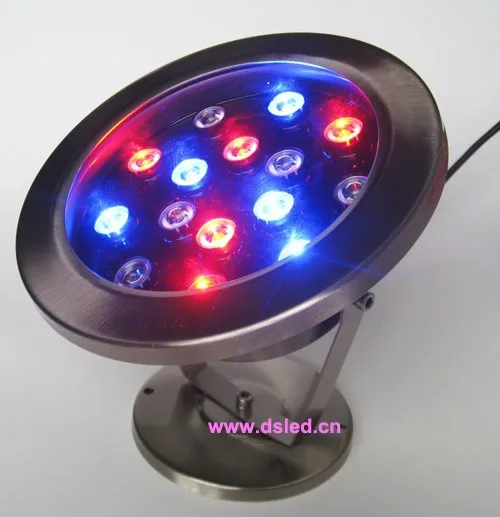 DS-10-62 15X1W RGB 16