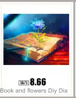 AeProduct.getSubject ()